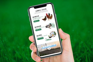 自然之涌，純凈之禾 涌禾農場全案品牌形象塑造之路